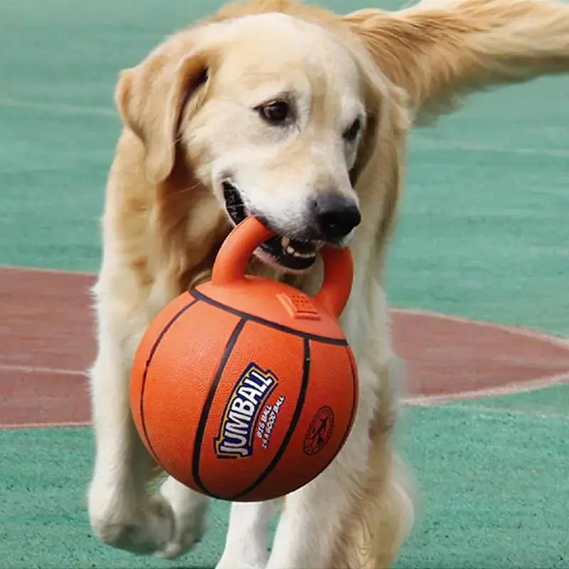 Active Pet Basketball and Football  Dog Toy