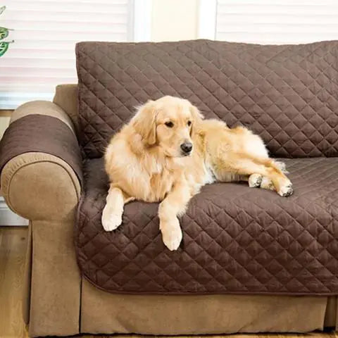 Sofa Pad and Protector, pet hair cover.
