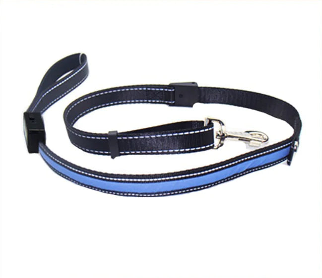 Fluorescent Dog Collar for Nighttime Safety