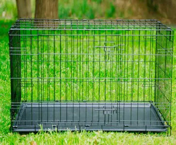 All-Breed Portable Pet Crate with liner.