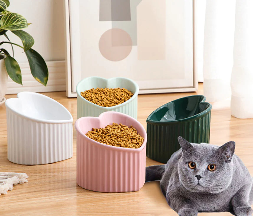 Raised Ceramic Pet Bowl with Slanted Design for Cats