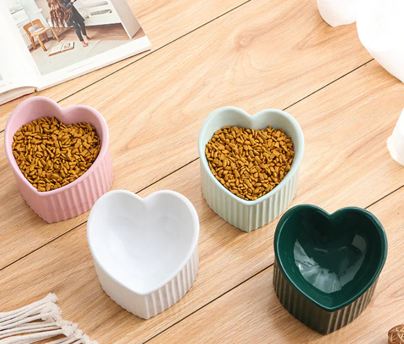 Raised Ceramic Pet Bowl with Slanted Design for Cats