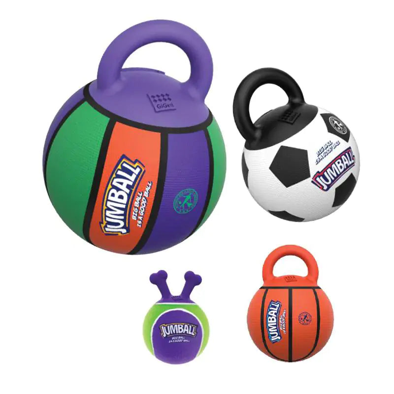 Active Pet Basketball and Football  Dog Toy